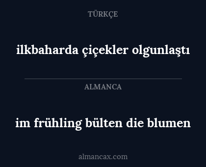 ilkbaharda çiçekler olgunlaştı - im frühling bülten die blumen