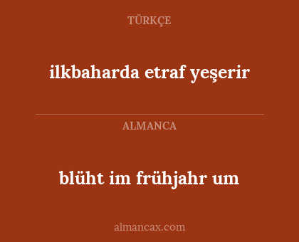 blüht im frühjahr um - ilkbaharda etraf yeşerir