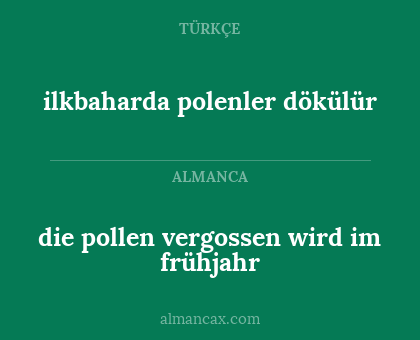 die pollen vergossen wird im frühjahr - ilkbaharda polenler dökülür
