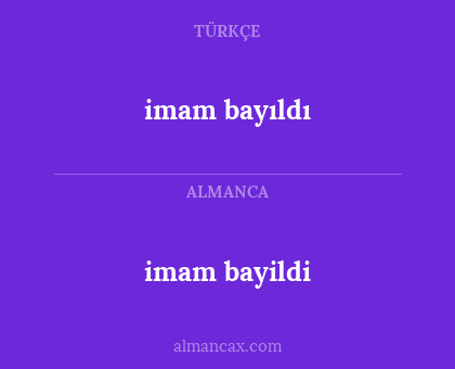 imam bayildi - imam bayıldı