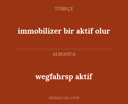 wegfahrsp aktif - immobilizer bir aktif olur