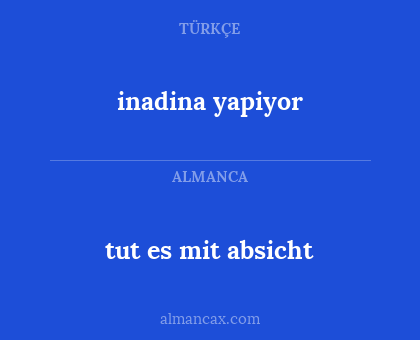 tut es mit absicht - inadina yapiyor