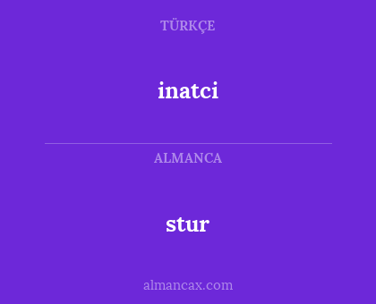 inatci - stur