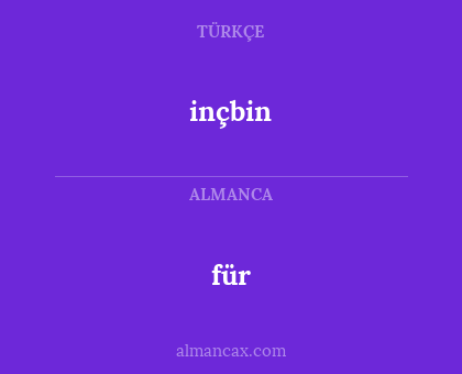 für - inçbin