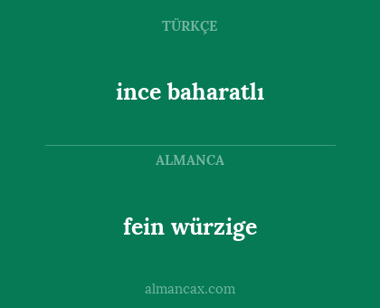fein würzige - ince baharatlı
