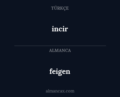 incir - feigen