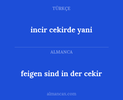 incir cekirde yani - feigen sind in der cekir