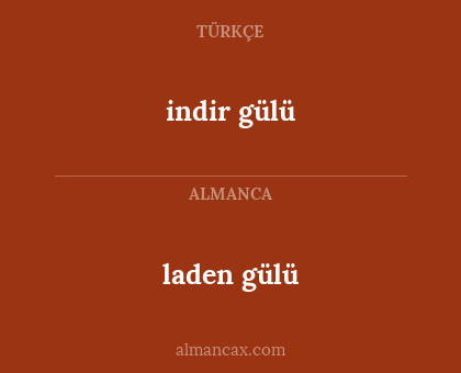 laden gülü - indir gülü
