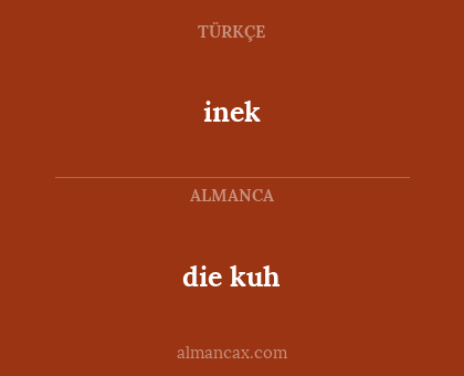 die kuh - inek