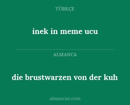 die brustwarzen von der kuh - inek in meme ucu