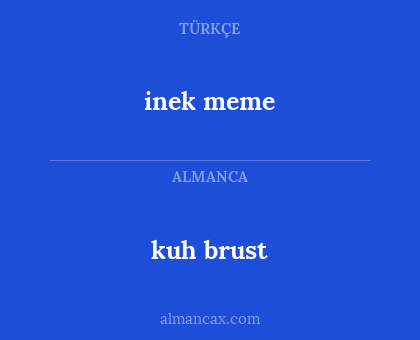 inek meme - kuh brust