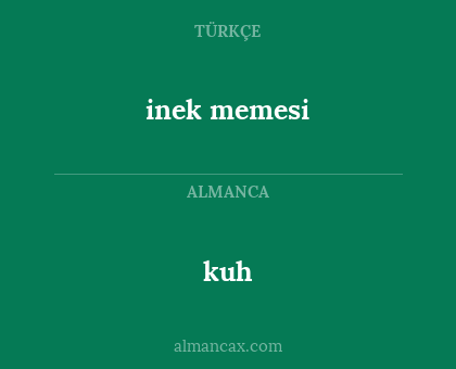 kuh - inek memesi