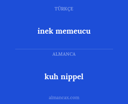 kuh nippel - inek memeucu