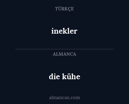 die kühe - inekler