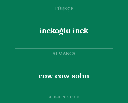 inekoğlu inek - cow cow sohn