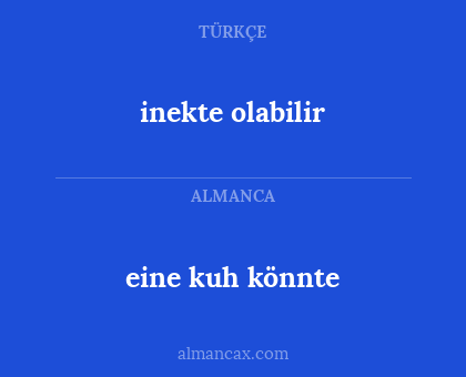 inekte olabilir - eine kuh könnte