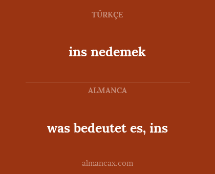 ins nedemek - was bedeutet es, ins