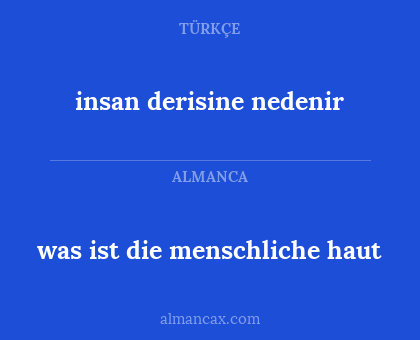 was ist die menschliche haut - insan derisine nedenir