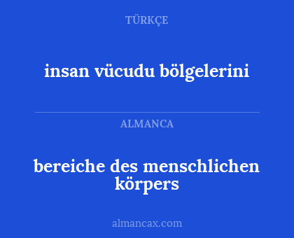 insan vücudu bölgelerini - bereiche des menschlichen körpers