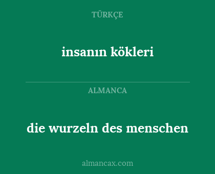 die wurzeln des menschen - insanın kökleri