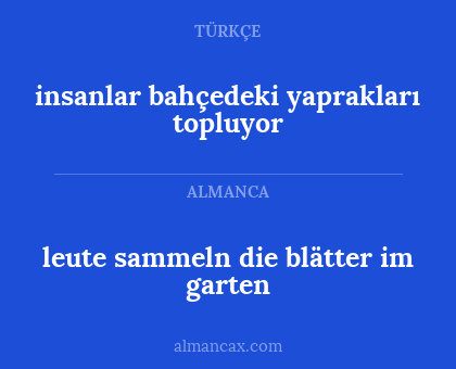 insanlar bahçedeki yaprakları topluyor - leute sammeln die blätter im garten