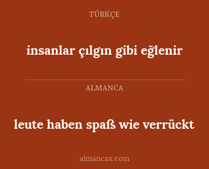 leute haben spaß wie verrückt - insanlar çılgın gibi eğlenir