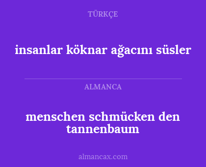 menschen schmücken den tannenbaum - insanlar köknar ağacını süsler