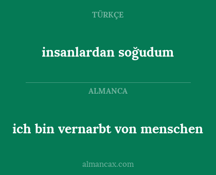 ich bin vernarbt von menschen - insanlardan soğudum