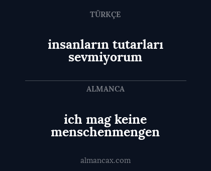 ich mag keine menschenmengen - insanların tutarları sevmiyorum