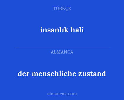 der menschliche zustand - insanlık hali