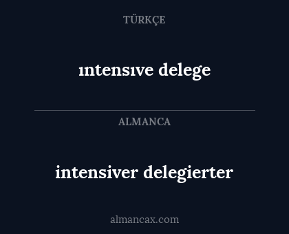 ıntensıve delege - intensiver delegierter