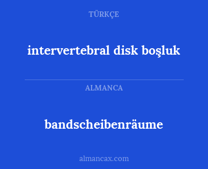 intervertebral disk boşluk - bandscheibenräume