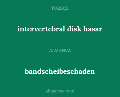 bandscheibeschaden - intervertebral disk hasar