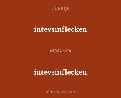intevsinflecken - intevsinflecken