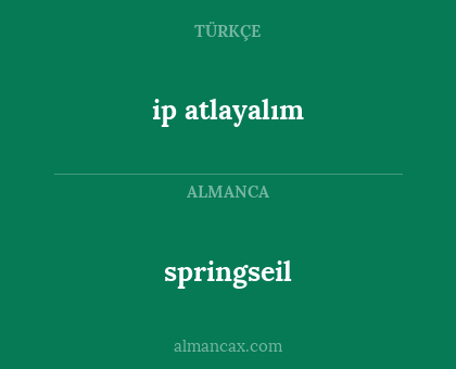 springseil - ip atlayalım