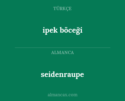 ipek böceği - seidenraupe