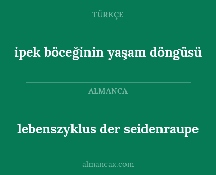 ipek böceğinin yaşam döngüsü - lebenszyklus der seidenraupe