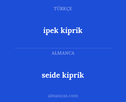 ipek kiprik - seide kiprik