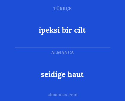 ipeksi bir cilt - seidige haut