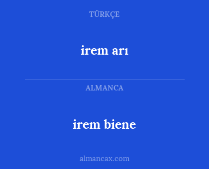 irem biene - irem arı