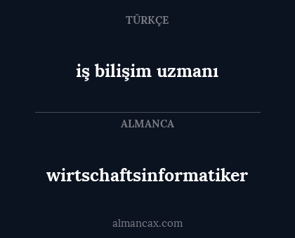 wirtschaftsinformatiker - iş bilişim uzmanı