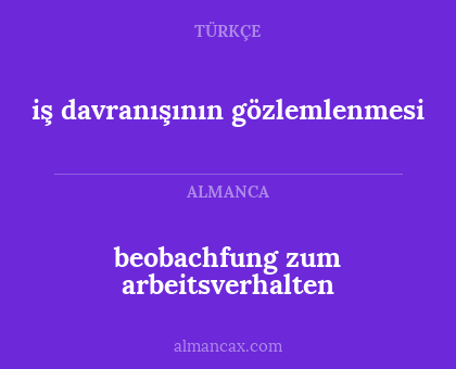 beobachfung zum arbeitsverhalten - iş davranışının gözlemlenmesi