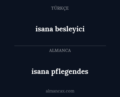isana pflegendes - isana besleyici