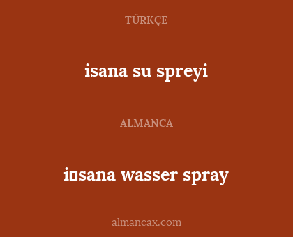 i̇sana wasser spray - isana su spreyi