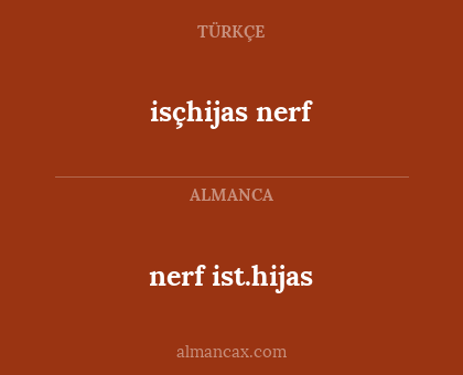 isçhijas nerf - nerf ist.hijas