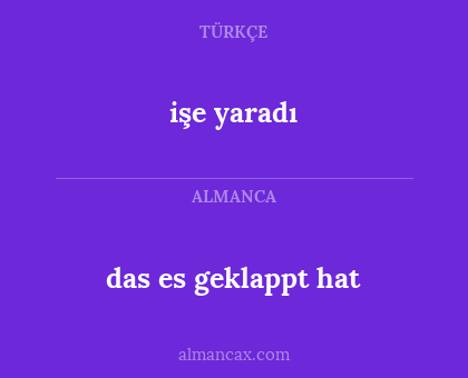 das es geklappt hat - işe yaradı