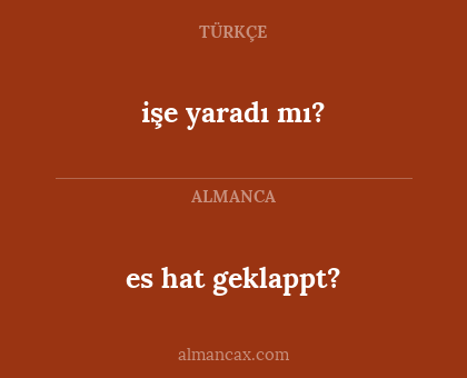 es hat geklappt? - işe yaradı mı?