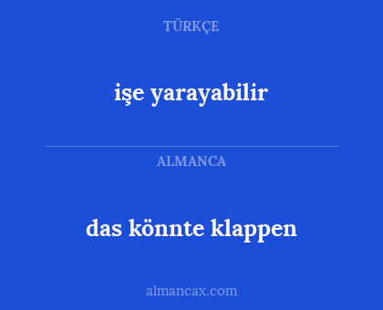işe yarayabilir - das könnte klappen