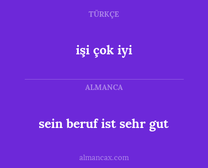 sein beruf ist sehr gut - işi çok iyi