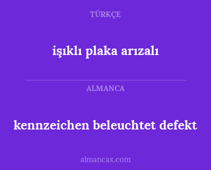 kennzeichen beleuchtet defekt - işıklı plaka arızalı